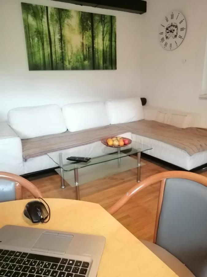 Apartma Zeus 예세니체 객실 사진